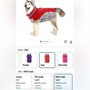 Red and Gray Dog Winter Jacket